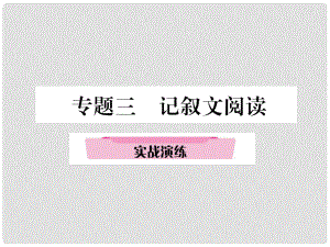 青海省中考語文 精講 專題3 記敘文閱讀 4 實戰(zhàn)演練復(fù)習(xí)課件