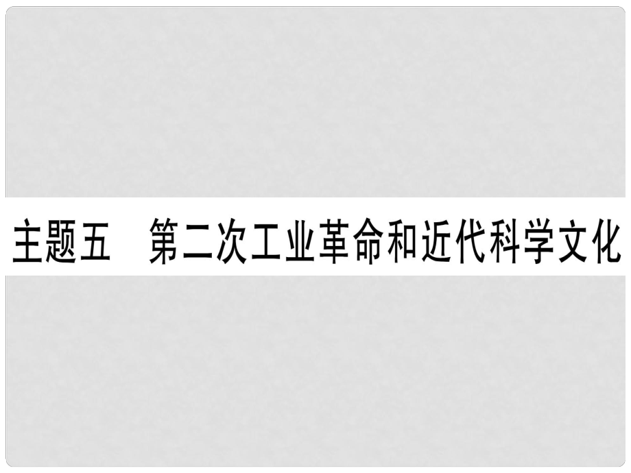 中考?xì)v史總復(fù)習(xí) 第一篇 考點(diǎn)系統(tǒng)復(fù)習(xí) 板塊4 世界古、近代史 主題五 第二次工業(yè)革命和近代科學(xué)文化（精練）課件_第1頁(yè)