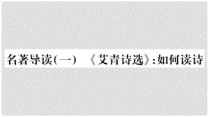 九年級(jí)語(yǔ)文上冊(cè) 第一單元 名著導(dǎo)讀（一）《艾青詩(shī)選》如何讀詩(shī)習(xí)題課件 新人教版