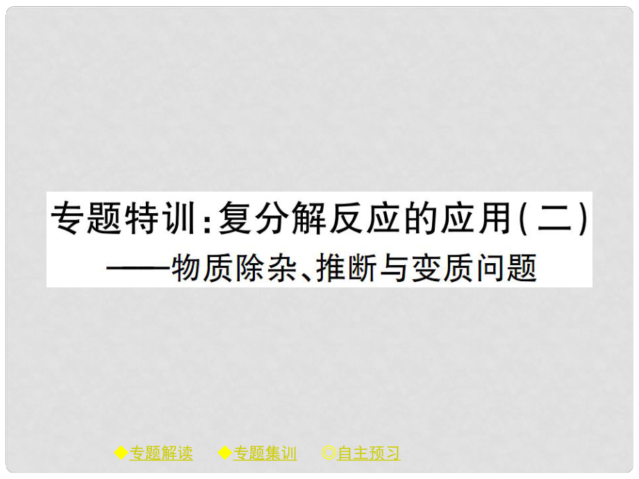 九年级化学下册 第十一章 盐 化肥 专题特训 复分解反应的应用（二）课件 （新版）新人教版_第1页