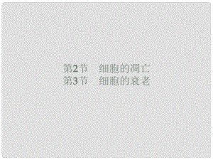 高中生物 第8章 細胞的分化、凋亡和衰老 8.2 細胞的凋亡 8.3 細胞的衰老課件 北師大版必修1