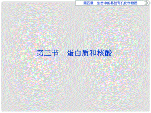 高中化學(xué) 第四章 生命中的基礎(chǔ)有機(jī)物質(zhì) 第三節(jié) 蛋白質(zhì)和核酸課件 新人教版選修5