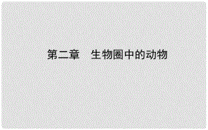 山東省濟(jì)南市中考生物 第二單元 多彩的生物世界 第二章 生物圈中的動(dòng)物課件