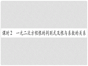 中考數(shù)學 第一輪 考點系統(tǒng)復習 第2章 方程（組）與不等式（組）第2節(jié) 一元二次方程及其應用 課時2作業(yè)課件