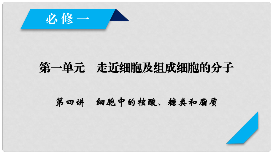 高考生物一輪總復(fù)習(xí) 第一單元 走近細胞及組成細胞的分子 第4講 細胞中的核酸、糖類和脂質(zhì)課件 新人教版必修1_第1頁