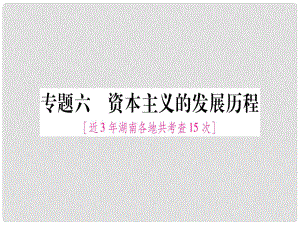 湖南省中考?xì)v史復(fù)習(xí) 第二篇 知能綜合提升 專題6 資本主義的發(fā)展歷程課件