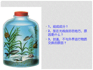 黑龍江省海林市高中生物 第五章 生態(tài)系統(tǒng)及其穩(wěn)定性 第3節(jié) 生態(tài)系統(tǒng)的物質(zhì)循環(huán)課件 新人教版必修3