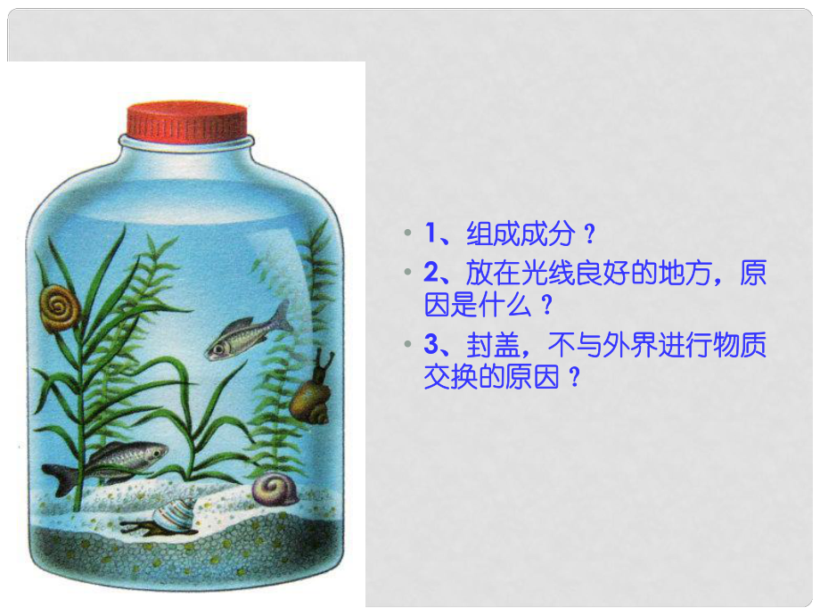 黑龍江省海林市高中生物 第五章 生態(tài)系統(tǒng)及其穩(wěn)定性 第3節(jié) 生態(tài)系統(tǒng)的物質(zhì)循環(huán)課件 新人教版必修3_第1頁