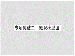 中考化學準點備考復習 專項突破二 微觀模型圖課件 新人教版