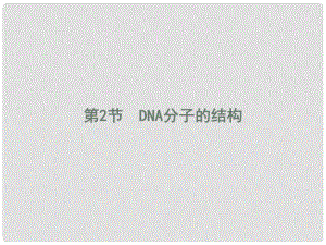 高中生物 第3章 基因的本质 3.2 DNA分子的结构课件 新人教版必修2