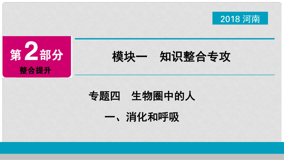 河南省中考生物总复习 第2部分 模块1 专题4 1 消化和呼吸课件_第1页