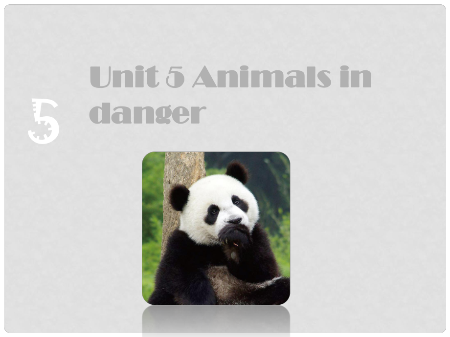 六年級英語上冊 Unit 5 Animals in danger課件 牛津上海版_第1頁