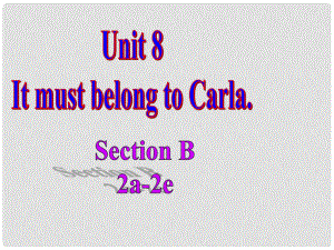 河北省石家莊市贊皇縣九年級英語全冊 Unit 8 It must belong to Carla課件4 （新版）人教新目標版