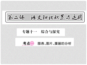 中考語文總復(fù)習(xí) 第2編 語文知識(shí)積累與運(yùn)用 專題十一 綜合與探究 考點(diǎn)二 圖標(biāo) 圖片 漫畫的分析課件 語文版