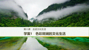 高中政治 第四單元 發(fā)展中國特色社會主義文化 第八課 走進文化生活 1 色彩斑斕的文化生活課件 新人教版必修3