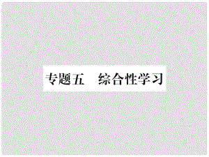 八年級語文上冊 專題5 綜合性學(xué)習(xí)習(xí)題課件 新人教版