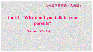 八年級英語下冊 Unit 4 Why don't you talk to your parents Section B(2a2e)習(xí)題課件 （新版）人教新目標(biāo)版