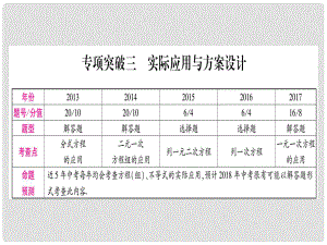 中考數(shù)學(xué)總復(fù)習(xí) 第二輪 中檔題突破 專項突破3 實際應(yīng)用與方案設(shè)計課件