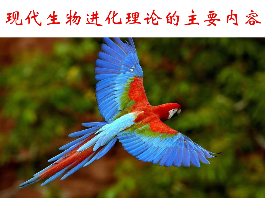 廣東省平遠(yuǎn)縣高中生物 第七章 現(xiàn)代生物進(jìn)化理論 7.2.1 種群基因頻率的改變與生物進(jìn)化課件 新人教版必修2_第1頁(yè)