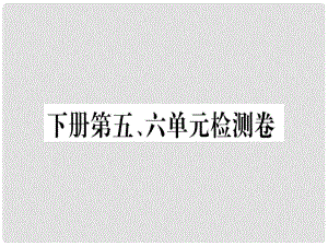 九年級(jí)語文下冊(cè) 第五、六單元檢測卷課件 新人教版