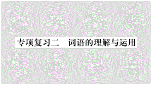 七年級語文下冊 專項復習2 詞語的理解與運用習題課件 新人教版