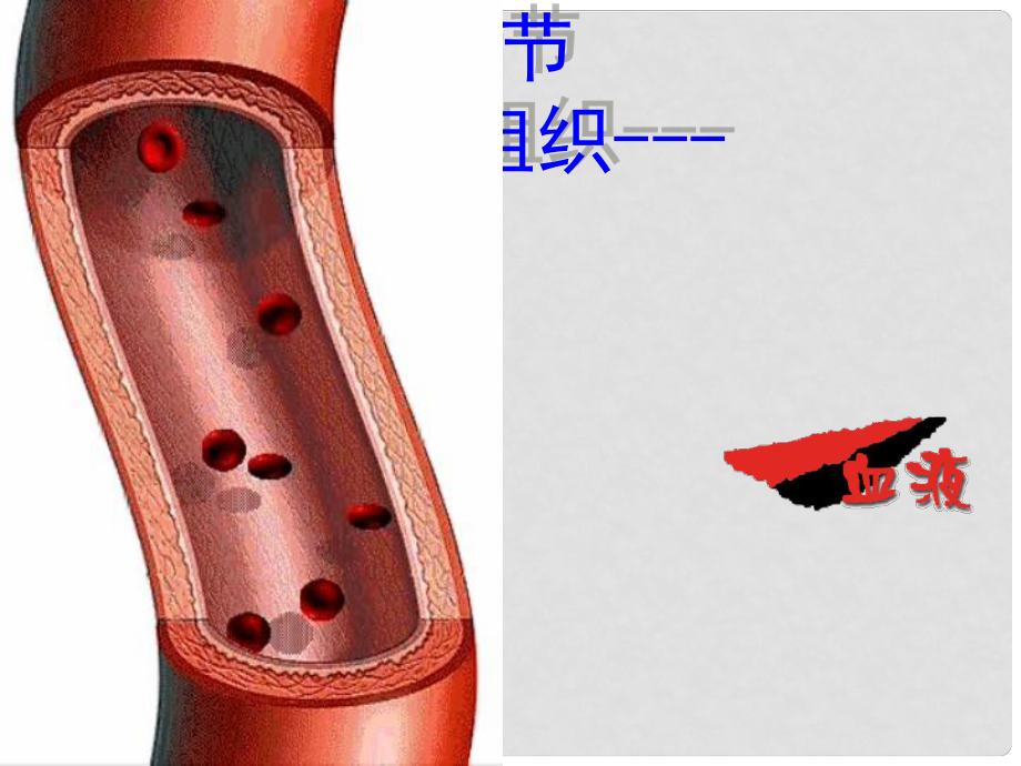 七年級生物下冊 第4單元 第4章 第1節(jié) 流動的組織—血液課件 （新版）新人教版_第1頁