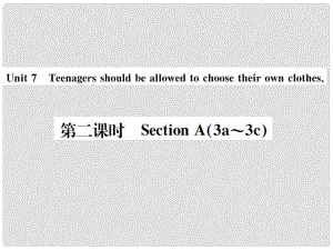 九年級(jí)英語(yǔ)全冊(cè) Unit 7 Teenagers should be allowed to choose their own clothes（第2課時(shí)）習(xí)題課件 （新版）人教新目標(biāo)版4