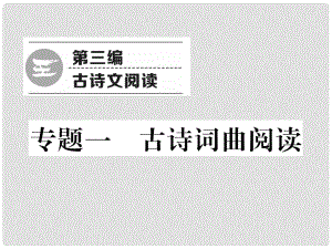 青海省中考語文 精煉 第3編 專題1 古詩詞曲閱讀復(fù)習(xí)課件