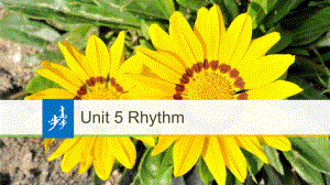 高中英語(yǔ) Unit 5 Rhythm Period Two Lesson 2 Beijing Opera課件 北師大版必修2