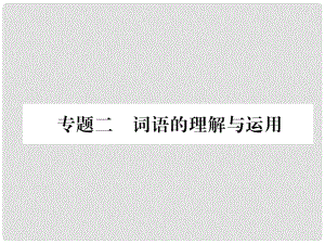 七年級語文上冊 專題2 詞語的理解與運(yùn)用習(xí)題課件 新人教版