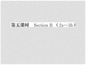 貴州省九年級(jí)英語(yǔ)全冊(cè) Unit 5 What are the shirts made of（第5課時(shí)）習(xí)題課件 （新版）人教新目標(biāo)版