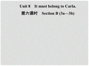 九年级英语全册 Unit 8 It must belong to Carla（第6课时）Section B（3a3b）课件 （新版）人教新目标版
