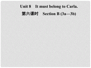 九年級英語全冊 Unit 8 It must belong to Carla（第6課時）Section B（3a3b）課件 （新版）人教新目標版