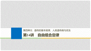 高考生物一輪總復習 第四單元 遺傳的基本規(guī)律、人類遺傳病與優(yōu)生 第14講 自由組合定律課件