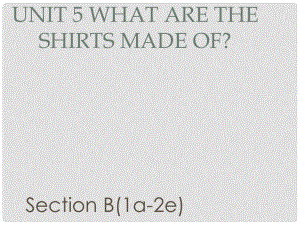 廣東省汕尾市陸豐市九年級英語全冊 Unit 5 What are the shirts made of Section B（1a2e）課件 （新版）人教新目標版