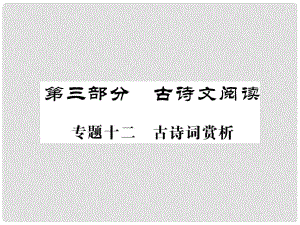 中考語文二輪復(fù)習(xí) 專題突破講讀 第3部分 古詩文閱讀 專題十二 古詩詞賞析課件