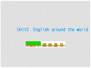 安徽省高中英語總復習 Unit2 English around the world（2）課件 新人教版必修1