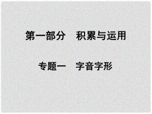 湖南省中考語文總復(fù)習(xí) 第一部分 積累與運(yùn)用 專題一 字音字形課件