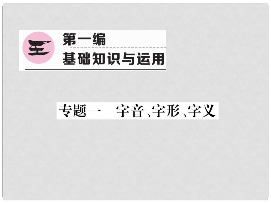 青海省中考語(yǔ)文 精講 第1編 專題1 字音 字形 字義復(fù)習(xí)課件_第1頁(yè)