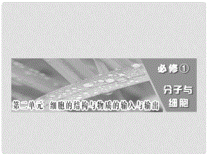 山東省樂(lè)陵市高中生物 第三章 細(xì)胞的基本結(jié)構(gòu) 細(xì)胞膜與細(xì)胞核（含生物膜的流動(dòng)鑲嵌模型）課件 新人教版必修1