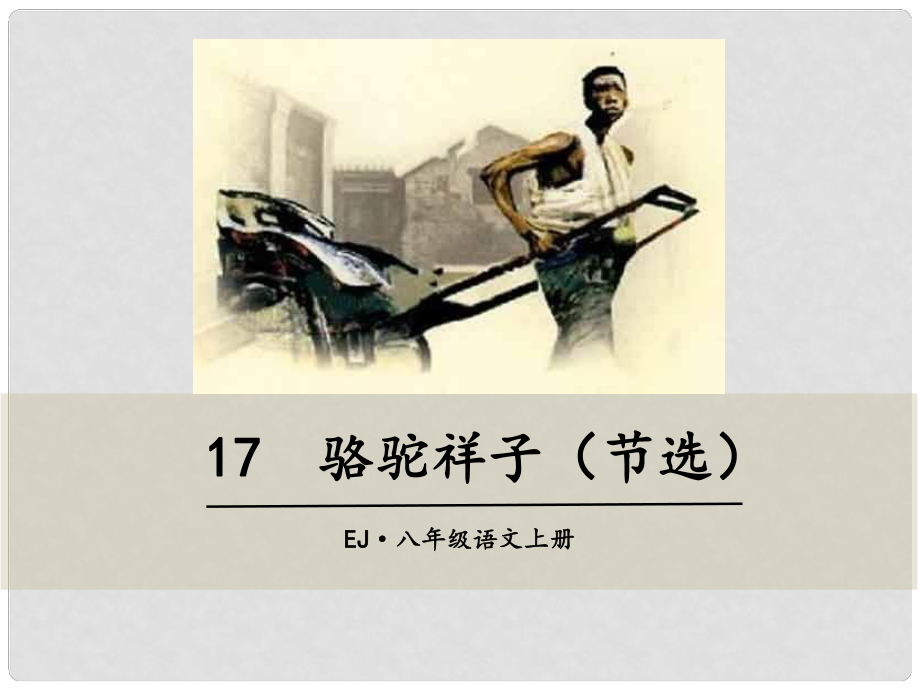 湖北省武漢市八年級語文上冊 第五單元 17 駱駝祥子課件 鄂教版_第1頁