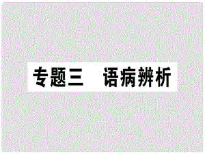 七年級(jí)語(yǔ)文上冊(cè) 專題三 語(yǔ)病辨析習(xí)題課件 新人教版