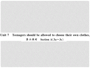 九年級英語全冊 Unit 7 Teenagers should be allowed to choose their own clothes（第2課時）習題課件 （新版）人教新目標版1