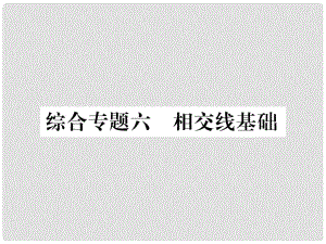 七年級(jí)數(shù)學(xué)上冊(cè) 期末復(fù)習(xí)攻略 綜合專卷六 相交線基礎(chǔ)課件 （新版）華東師大版