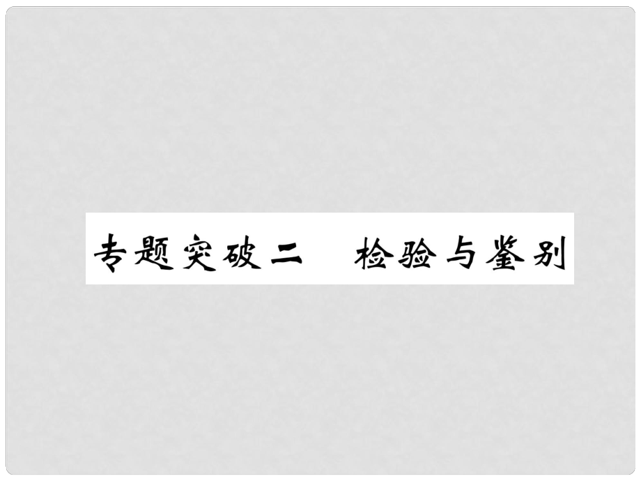 中考化學(xué)復(fù)習(xí) 第2編 重點(diǎn)專題突破篇 專題突破2 檢驗(yàn)與鑒別（精講）課件_第1頁(yè)