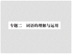 九年級(jí)語(yǔ)文上冊(cè) 期末專題復(fù)習(xí)二 詞語(yǔ)的理解與運(yùn)用習(xí)題課件 新人教版