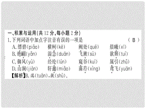 八年級(jí)語(yǔ)文上冊(cè) 第三單元習(xí)題課件 新人教版1