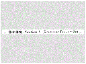 七年級(jí)英語(yǔ)上冊(cè) Unit 5 Do you have a soccer ball（第2課時(shí)）Section A（Grammar Focus3c）習(xí)題課件 （新版）人教新目標(biāo)版