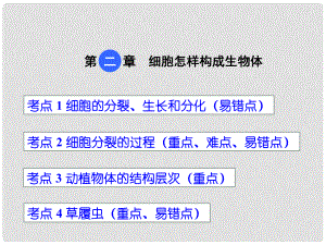 中考生物 第二單元 第二章 細(xì)胞怎樣構(gòu)成生物體復(fù)習(xí)課件