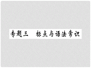 七年級語文上冊 專題三 標點與語法常識習(xí)題課件 新人教版